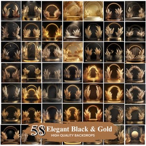 Eleganter Schwarz-Gold-Digital-Fotografie Hintergrund, moderne Foto-Kulisse für Neujahr, Federn und Pampas Digitaler Hintergrund