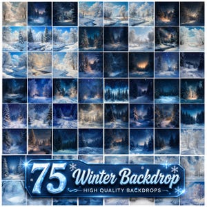 May include: A collection of 75 winter landscape images featuring snow-covered forests, frozen streams, and starry night skies. A blue rectangular banner at the bottom displays the text 75 Winter Backdrop HIGH QUALITY BACKDROPS with snowflakes.