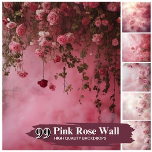 Könnte beinhalten: Ein rosa Hintergrund mit herabhängenden rosa Rosen und grünem Laub. Der Hintergrund hat einen weichen, rauchigen Effekt. Der Text "99 Pink Rose Wall" und "High Quality Backdrops" wird unten angezeigt.