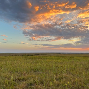 Sky Fire Prairie