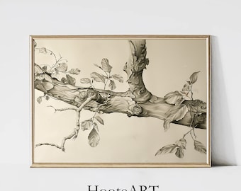 Pencil Sketch Tree Branch Printable Wall Art | Bedroom Decor | Vintage Digital Print | Digital Download