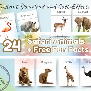 24 Safari Tiere Montessori Bildkarten mit lustigen Fakten: Lernbare & lustige druckbare Flash-Karten für Kleinkinder, Vorschulkinder und Kinder
