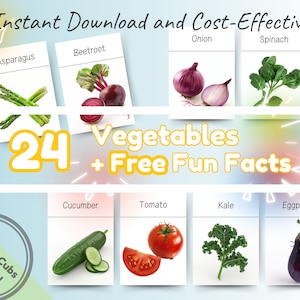 24 cartes-éclair Montessori sur les légumes pour une alimentation saine + faits amusants : cartes-éclair imprimables éducatives et amusantes pour les tout-petits, les enfants d'âge préscolaire et les enfants