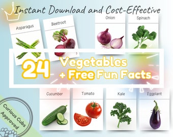 24 Healthy Eating Vegetables Montessori Flashcards + Fun Facts: Educational & Fun Printable Flash Cards for Toddlers, Preschoolers, and Kids