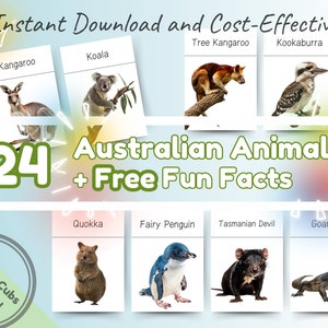 24 Australian Animals Montessori Flashcards with Fun Facts: Educational & Fun Printable Flash Cards for Toddlers, Preschoolers, and Kids