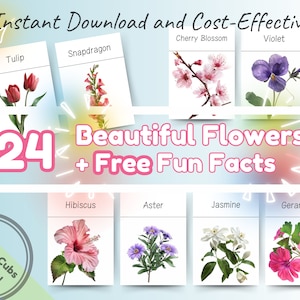 24 Flowers Montessori Flashcards z ciekawostkami: Edukacyjne i zabawne, drukowane Flash Cards dla maluchów, przedszkolaków i dzieci