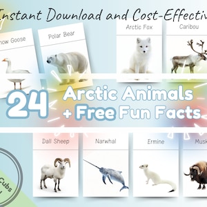 24 Flashcards Montessori de animais do Ártico com curiosidades: cartões flash educativos e divertidos para impressão para bebês, pré-escolares e crianças