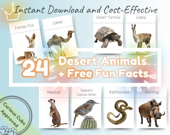 24 Montessori-flitskaarten met woestijndieren met leuke weetjes: educatieve en leuke afdrukbare flitskaarten voor peuters, kleuters en kinderen