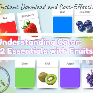 Compreendendo as cores: 12 cores essenciais com combinações de frutas - Cartões flash para impressão pré-escolar Montessori para crianças - Cartões flash coloridos