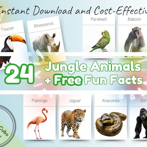 24 tarjetas didácticas Montessori de animales de la selva y la selva tropical + datos divertidos: tarjetas educativas imprimibles para niños pequeños, preescolares y niños