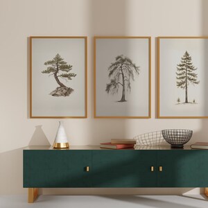 May include: Three framed botanical prints of trees with gold frames hang above a green cabinet. The prints depict a bonsai, a weeping willow, and a tall pine tree. A white and gold vase and a black wire bowl sit on the cabinet.