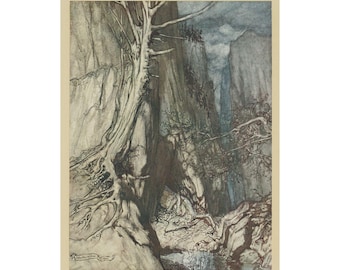 Arthur Rackham Vintage Illustration