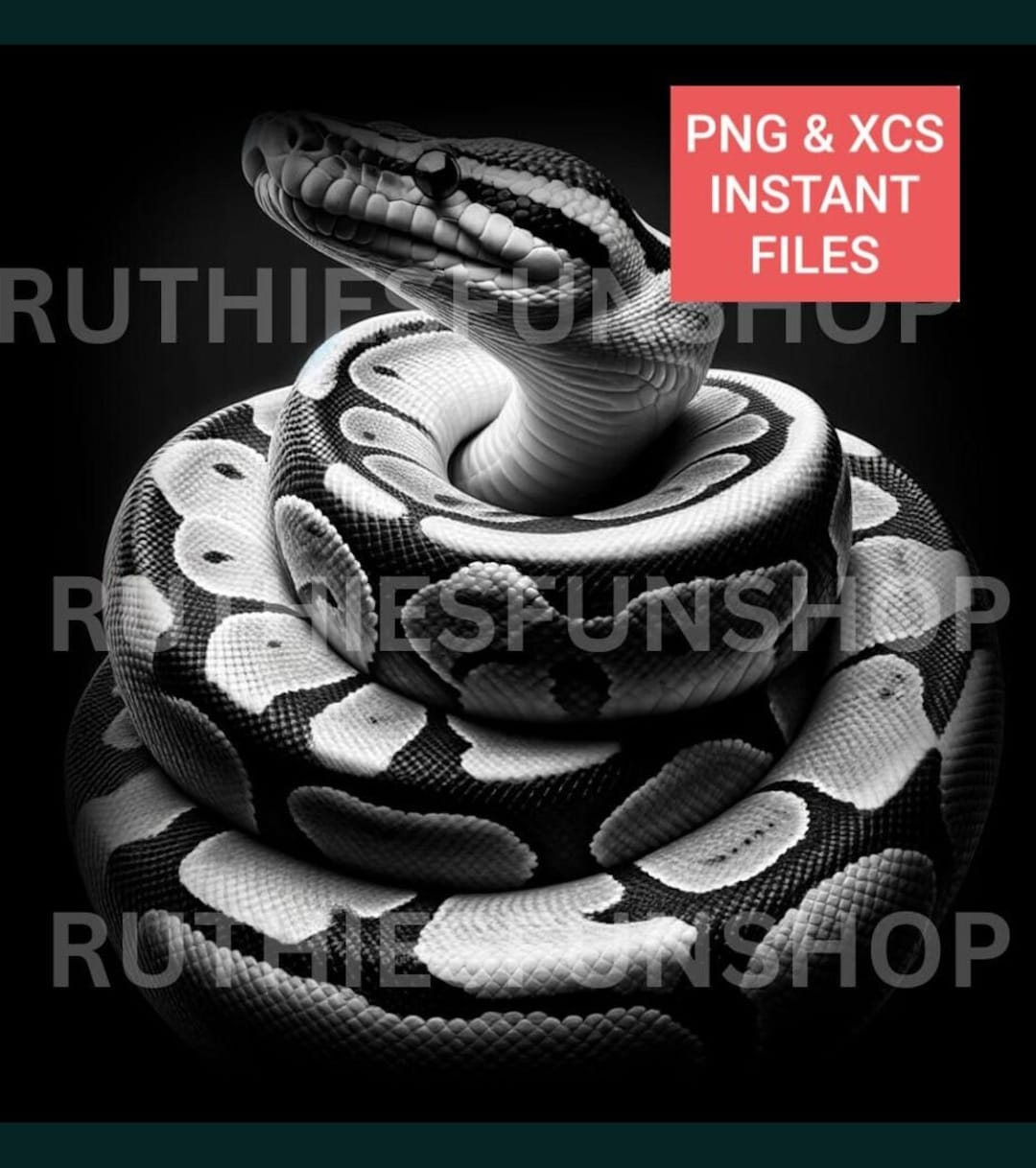 Ball Python Coiled Snake 3D PNG/XCS Downloadable Files Slate or Wood ...