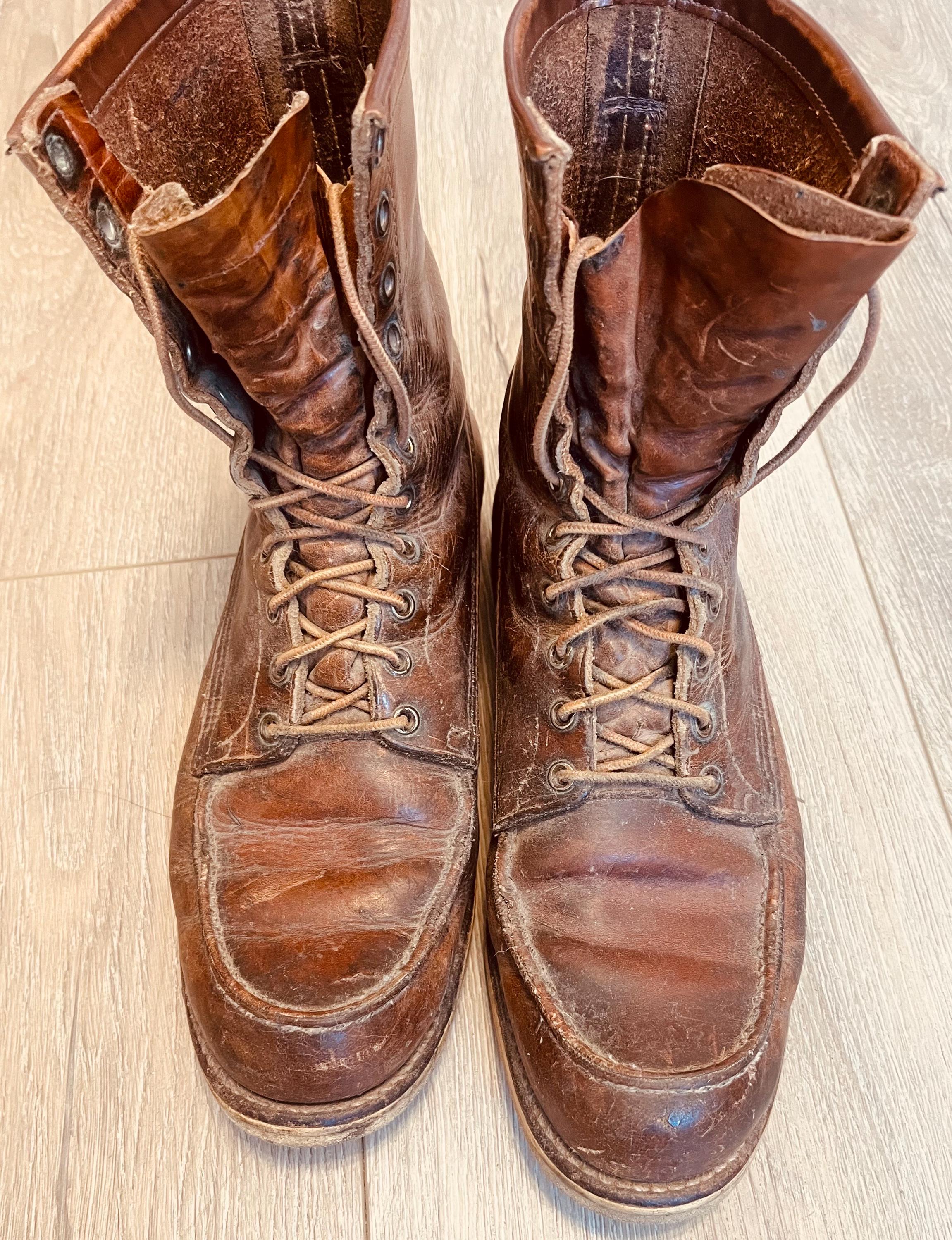 Irish Setter Red Wing - Etsy