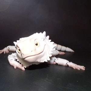 Bearded Dragon 3d printed Articulated Flexi Fidget Figurine- Free Shipping