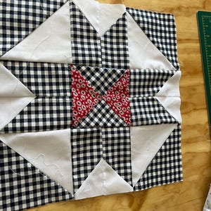 May include: A quilt block with a black and white gingham pattern and a red and white floral center. The block is made up of nine squares, with the center square being the floral pattern and the surrounding squares being the gingham pattern.