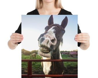 May include: A brown and white horse with a white blaze on its face smiles with its teeth showing. The horse is looking directly at the camera and is standing behind a red metal fence. The horse is in a field with green grass and a blue sky in the background.