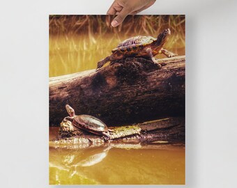Einzigartige Schildkröte Geschenkideen für Sie oder Ihn - Foto