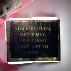 Biglietto d'amore nascosto: romantico, sorprese, regalo, confessione, biglietto d'auguri/cartolina postale
