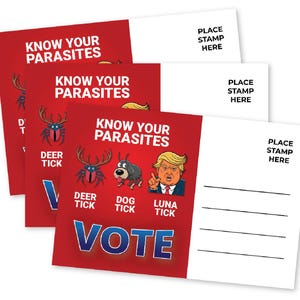 Cartes postales aux électeurs, message anti-atout, carte le jour des élections, cadeau sarcastique Trump rigolo, ensemble en vrac, dos blanc sans bavures, démocrates