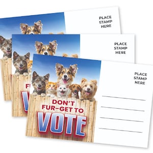 Postkarten für Wähler, unbeschichtet, verschmieren Sie nicht, unbeschrieben, Politische Wähler-Bulk-Karten-Set Vergessen Sie nicht, Hunde- und Katzenwahlkarten abzustimmen