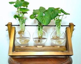 Propagation Station, Plant Holder, Indoor Gardening Hydroponics, Plant Propagation, Home Hydroponics, Plant Lover Gift