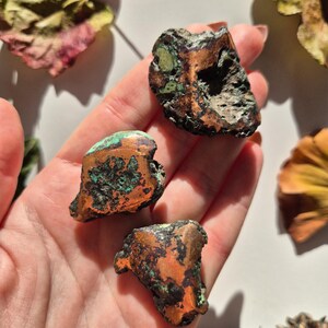 Könnte beinhalten: Drei rohe Kupfer- und Türkis-Mineralspezimen mit unregelmäßigen, gezackten Formen. Die Steine weisen eine metallische, rotbraune Kupferoberfläche auf, die mit Flecken aus leuchtend oxidierten grünen Mineralablagerungen und rauen, dunklen Bereichen kontrastiert.