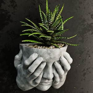 Puede incluir: Una maceta de hormigón gris con forma de rostro con manos cubriendo los ojos, que contiene una planta suculenta verde. La planta tiene hojas largas y puntiagudas con rayas blancas. La maceta está montada en una pared texturizada gris oscura.