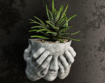 May include: A gray concrete planter shaped like a face with hands covering the eyes, holding a green succulent plant. The plant has long, pointed leaves with white stripes. The planter is mounted on a dark gray textured wall.