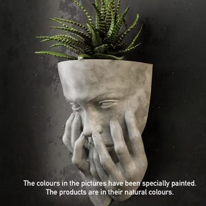 Sad Women Face Wall Planter – Unique Modern Decorative Pot