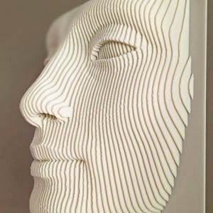 Puede incluir: Una obra de arte mural tridimensional que presenta el perfil de un rostro humano. La cara está construida a partir de líneas horizontales superpuestas de color crema, creando un efecto texturizado. La obra está montada sobre un soporte rectangular gris claro.