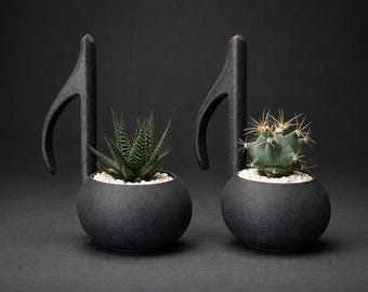 Jarrón musical: una maceta decorativa moderna y única