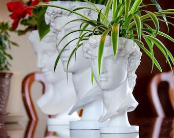 David Bust Planter | Michelangelo Sculpture Vase | 3D Printed Renaissance Art Decor | Elegant Indoor Planter