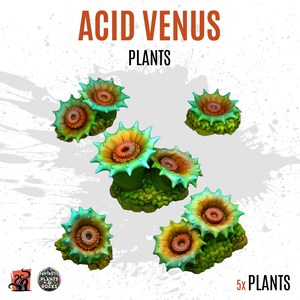 Puede incluir: Imagen de cinco "Acid Venus Plants" con una combinación de colores verde y amarillo. Las plantas tienen una forma espinosa, similar a una estrella, con un diseño circular central. El texto "Acid Venus Plants" está en la parte superior y "5x Plants" en la inferior.
