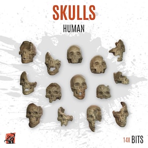 3D PRINTED Human skulls shattered broken bones to customize base and diorama with bits scenery for miniature ZABAVKA