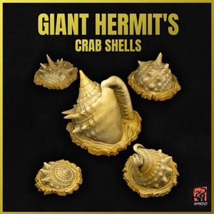 Peut inclure: Cinq coquilles de bernard-l'ermite géantes beige et brun sur un fond noir. Les coquilles sont texturées et ont une apparence hérissée. Le texte "GIANT HERMIT'S CRAB SHELLS" est en haut de l'image.