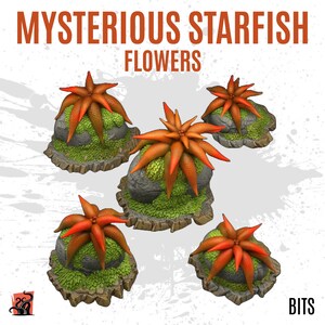 Può includere: Cinque fiori di stella marina in miniatura, dipinti a mano, di colore arancione e verde su basi rocciose. I fiori sono disposti in cerchio su uno sfondo bianco. Il testo "MYSTERIOUS STARFISH FLOWERS" è nella parte superiore dell'immagine e "BITS" nella parte inferiore.