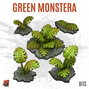 Puede incluir: Modelos de plantas de Monstera verde con hojas texturizadas y detalladas de varios tamaños. Los modelos son de un verde vibrante con reflejos amarillos, colocados sobre bases rocosas grises. El texto "GREEN MONSTERA" se muestra en la parte superior.