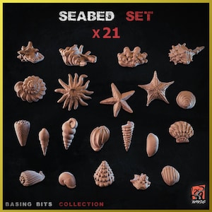 Puede incluir: Colección de 21 elementos marinos en miniatura, incluyendo diversas conchas y estrellas de mar, en color beige neutro. El texto "SEABED SET x21" se muestra en la parte superior, con "BASING BITS COLLECTION" en la parte inferior.