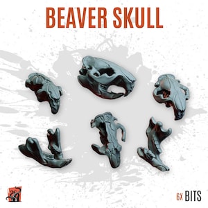 3D PRINTED Cráneo castor cementerio animal bosque decoración caza personalizar peana y diorama con bits escenografía para miniatura ZABAVKA