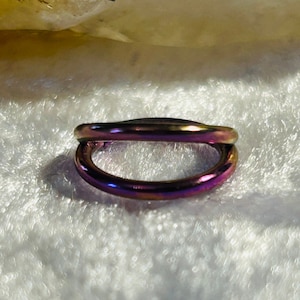 Purple & Gold Anodised Titanium Hinged Ring Double Band Design - Cartilage Body Piercing Jewellery 1.2mm x 8mm - 16g
