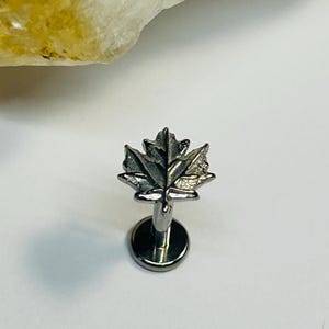 Maple Leaf Labret Ohrstecker - Innengewinde - Chirurgenstahl 316L - 1,2 mm - 16g