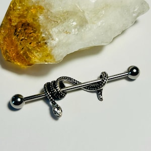 May include: A silver industrial barbell featuring a snake motif. The snake is wrapped around the bar, with detailed head and tail features. The barbell has silver balls at each end. A large, rough, white and yellow crystal is in the background.