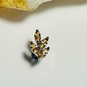 Marquise Leaf Labret Stud - Internally Threaded - ASTM:F136 Titanium - 1.2mm - 16g - Champagne CZ Leaf