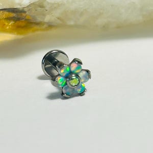 6 Blütenkelch Labret Ohrstecker - Opal & CZ Labret Ohrstecker - Innengewinde - ASTM: F136 Titan - 1,2 mm - 16g
