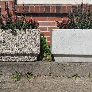 Könnte beinhalten: Zwei rechteckige Betonpflanzkästen, gefüllt mit Grün und blühenden Pflanzen. Einer hat eine strukturierte, kieselartige Oberfläche, der andere ist glatt. Die Pflanzkästen stehen auf einem Betonsims vor einer Backsteinmauer.