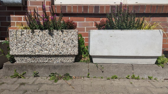 Pflanzkübel aus Beton - sichtbeton oder in Leine