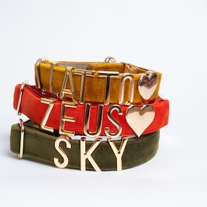 May include: Three velvet pet collars in mustard yellow, burnt orange, and olive green. Each collar features gold-toned metal letters and a heart charm. The top collar displays the text LATTO, the middle collar displays ZEUS, and the bottom collar displays SKY.