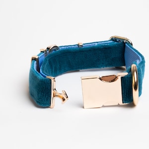 May include: A teal velvet pet collar featuring a light blue inner lining and polished gold-tone metal hardware, including a side-release buckle and a D-ring. The collar is shown in an open position, displaying the metallic clasp mechanism clearly.
