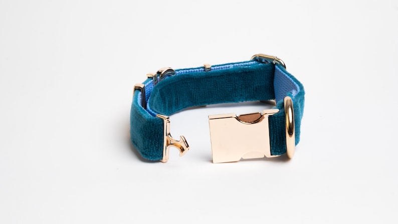 May include: A teal velvet pet collar featuring a light blue inner lining and polished gold-tone metal hardware, including a side-release buckle and a D-ring. The collar is shown in an open position, displaying the metallic clasp mechanism clearly.